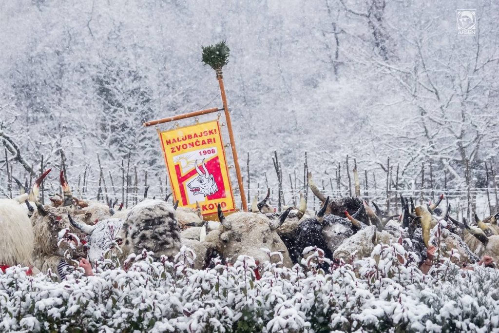 Pust 2018. — fotografija 67