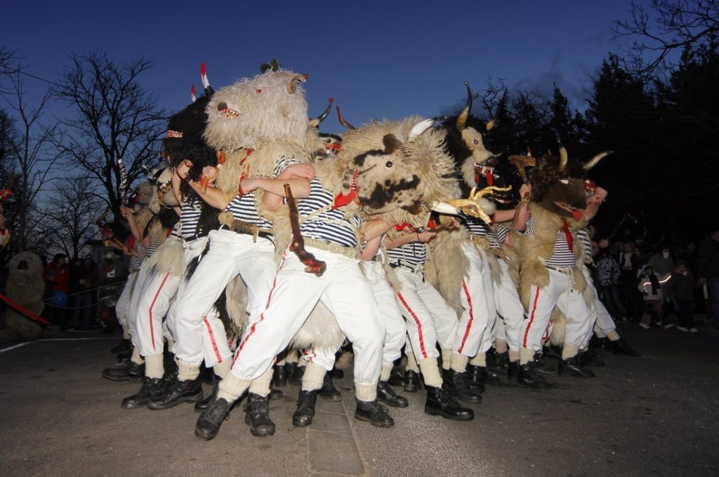 Pust 2011. — fotografija 14