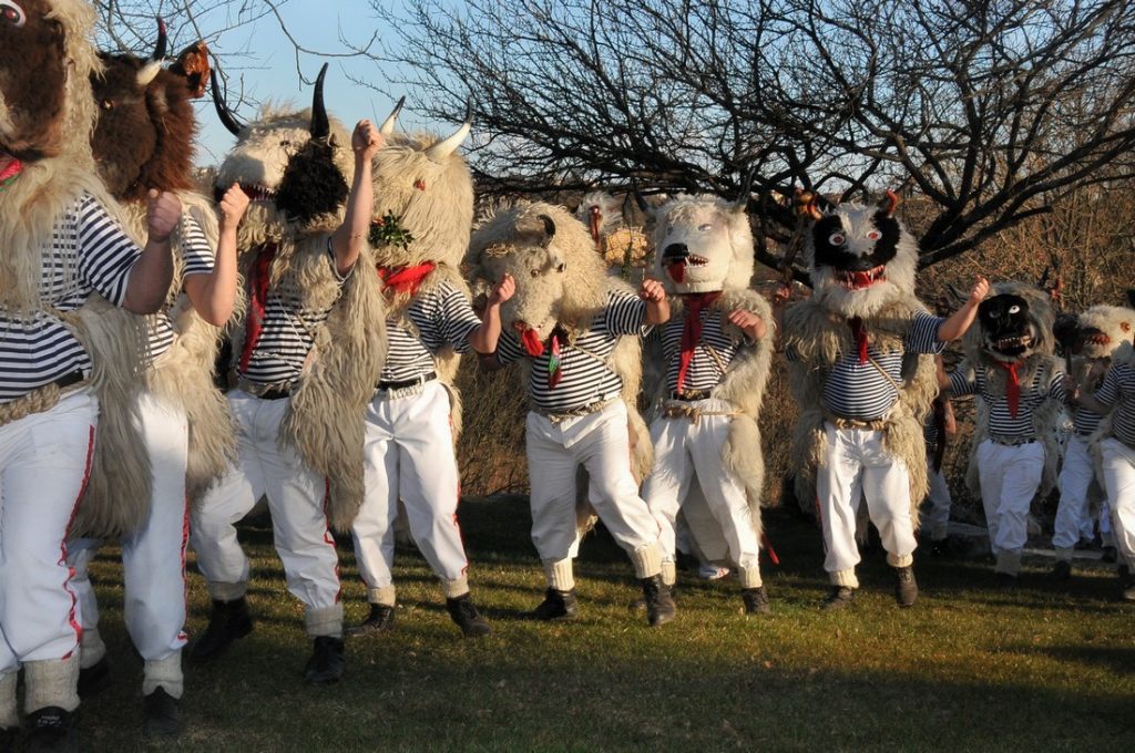 Pust 2011. — fotografija 116